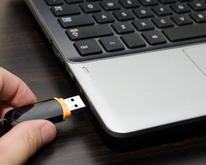 The Missing Link - Flash Drive